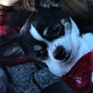 Meet your Posher, Rebecca